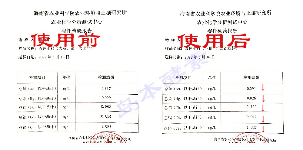 島本酵素菌技術(shù)消除降解重金屬的“硬實力”