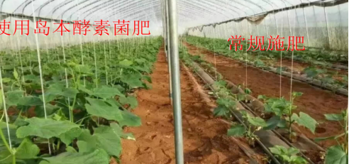 微生物肥料與植物生物刺激素產品之間有何關系？