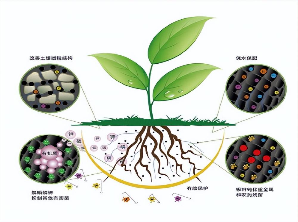 農(nóng)用微生物菌劑的選用原則與應(yīng)用要求