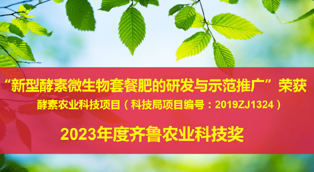 島本研究所“新型酵素微生物套餐肥項(xiàng)目”獲省級齊魯科技獎項(xiàng)